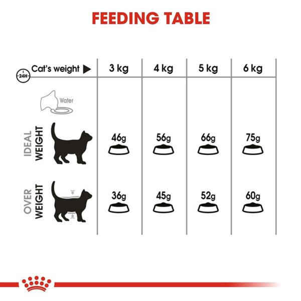 Aliments pour chat Royal Canin Oral Care Adulte 1,5 Kg