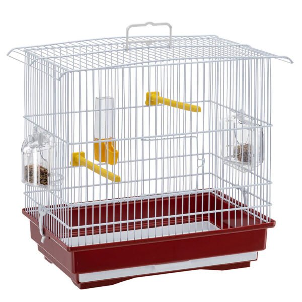 Cage pour canaris et petits oiseaux exotiques