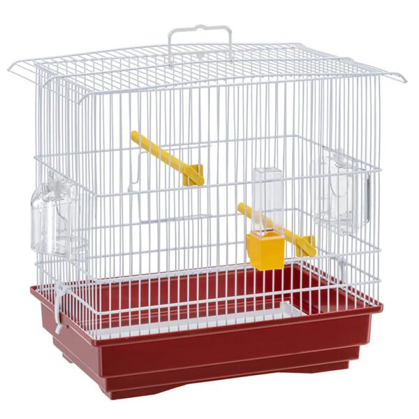 Cage pour canaris et petits oiseaux exotiques